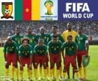 Επιλογή του Καμερούν, ομάδα Α, Βραζιλία 2014
